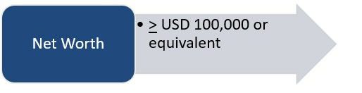 Net Worth 100000 USD equivalent