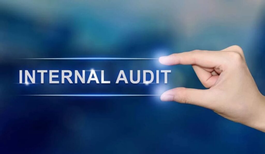 Internal Audit Service in India