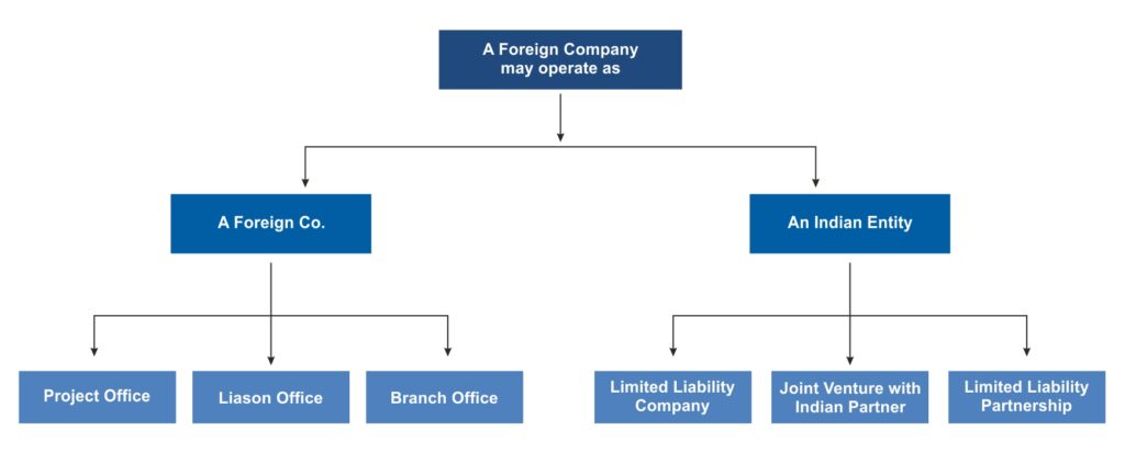 Florigen company operation related image